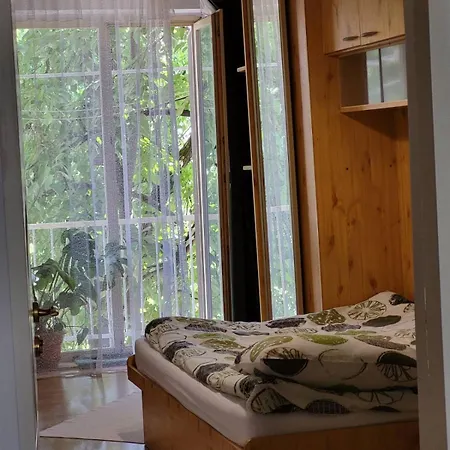 на заньковецкой * Uzjhorod